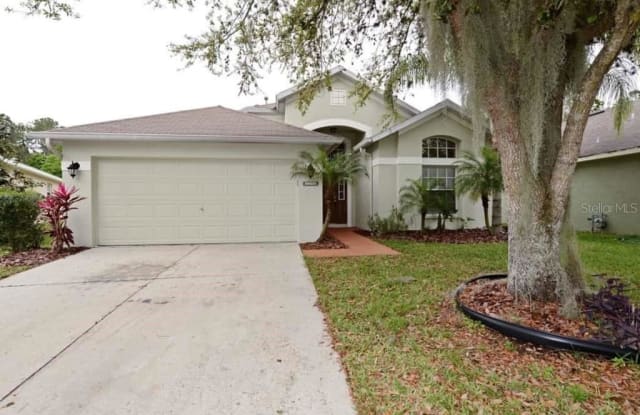 16806 HAWKGLEN PLACE - 16806 Hawkglen Place, Fish Hawk, FL 33547