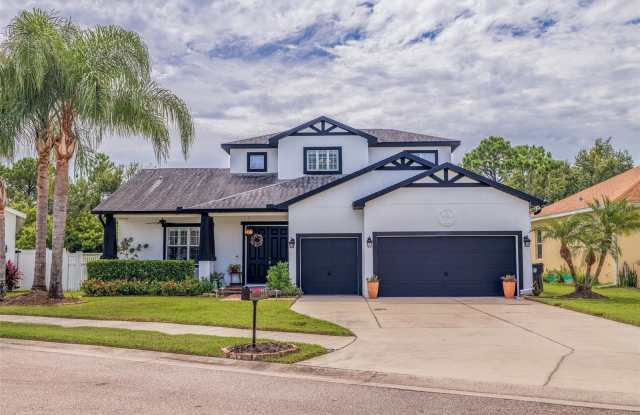 205 BENGAL CIRCLE - 205 Bengal Circle, Oldsmar, FL 34677