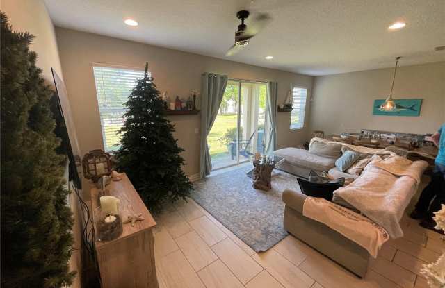 15233 SUNRISE GROVE COURT Gallery 2