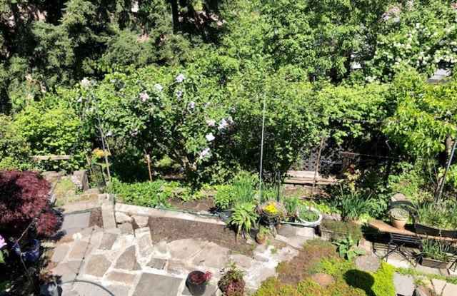 North Queen Anne Duplex photos photos