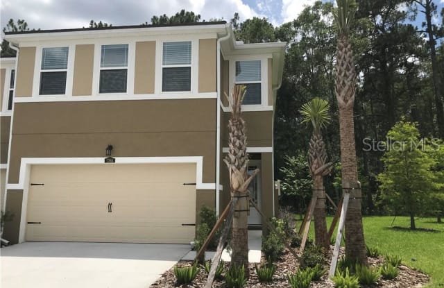 17864 ALTHEA BLUE PLACE - 17864 Althea Blue Pl, Cheval, FL 33558