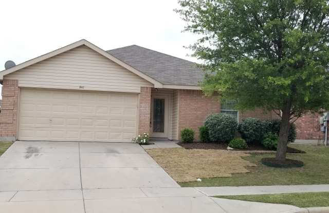 841 Rio Bravo Dr - 841 Rio Bravo Drive, Fort Worth, TX 76052