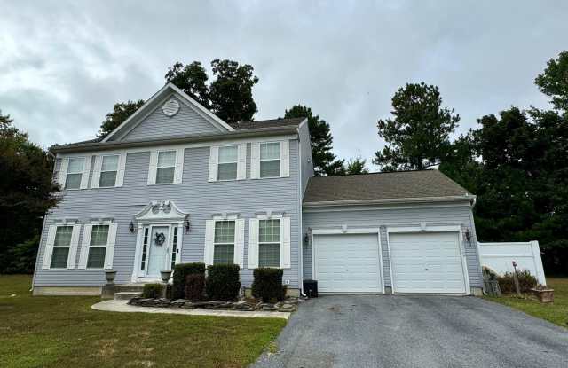 25764 SALT GRASS ROAD - 25764 Salt Grass Road, Sussex County, DE 19966