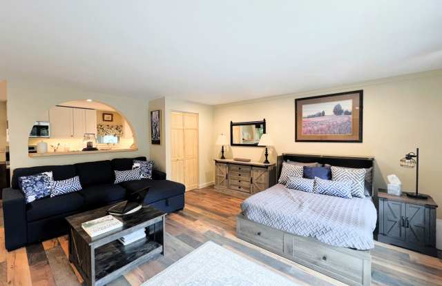 Brand New Luxury Studio | All-Inclusive | Scenic Views + Parking photos photos