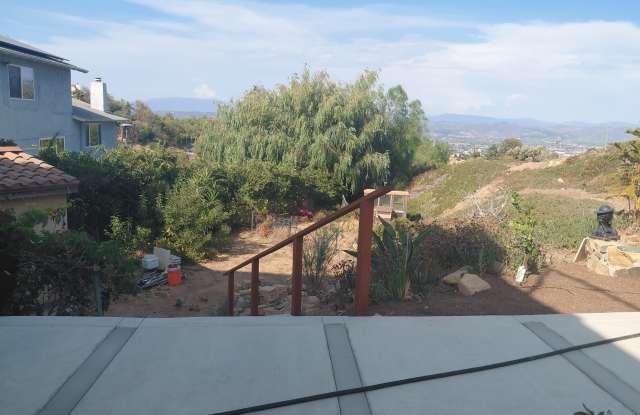 401 Washingtonia photos photos 401 Washingtonia photos photos