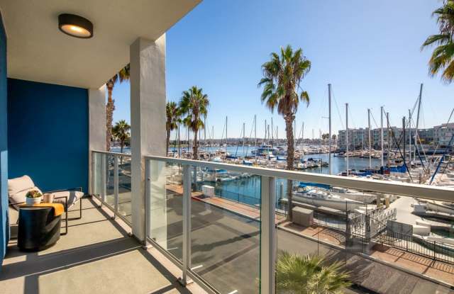 Dolphin Marina Gallery 2