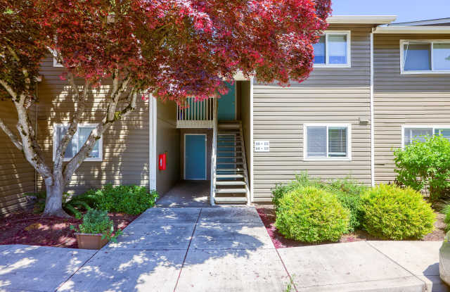 Chalet Apartments Gallery 3
