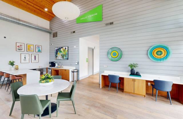 Palo Verde Gallery 4