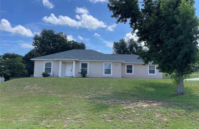 17542 DORIS STREET - 17542 Doris Street, Montverde, FL 34756