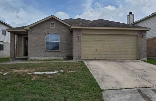 25714 Gold Yarrow photos photos 25714 Gold Yarrow photos photos