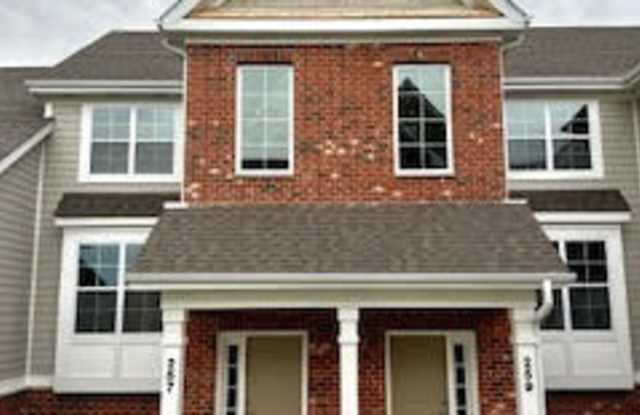 257 Timber Ridge Court - 1 - 257 Timber Ridge Court, Joliet, IL 60431