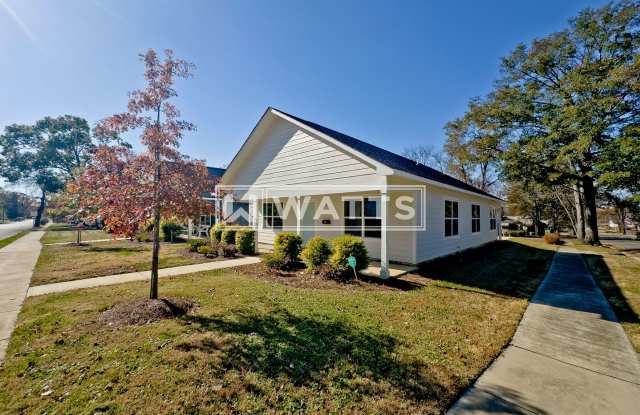 Brand New 3-Bed, 2-Bath Home in East Lake photos photos
