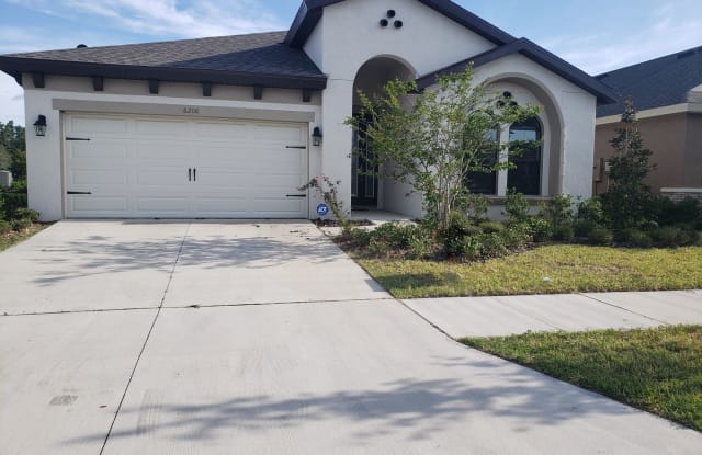 6206 Colmar Place - 6206 Colmar Place, Apollo Beach, FL 33572