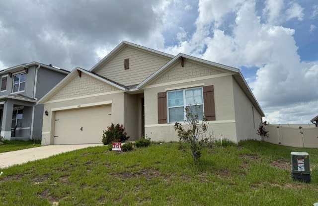 209 LUDISIA LOOP photos photos