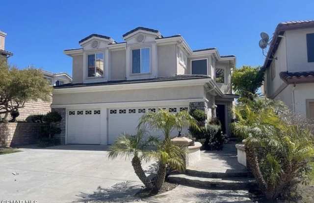 2946 Venezia Lane photos photos