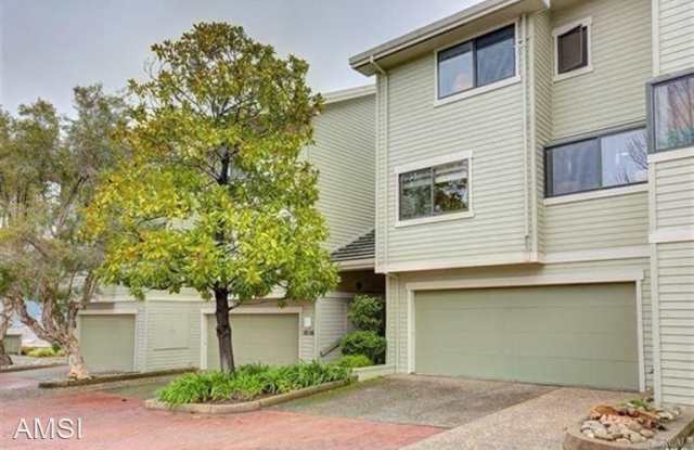 48 Eucalyptus Knoll - 48 Eucalyptus Knoll Street, Mill Valley, CA 94941