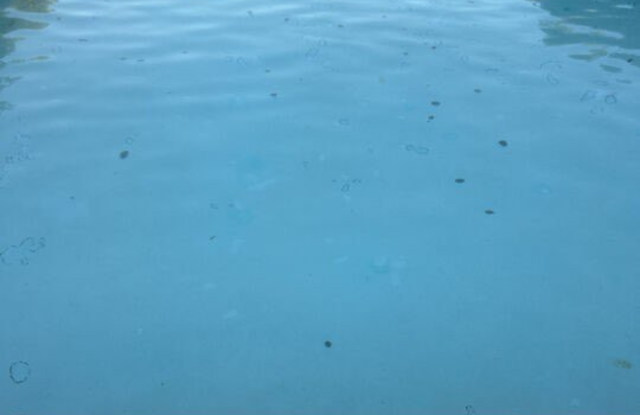 2411 W Acacia Ave - 2411 West Acacia Avenue, Hemet, CA 92545