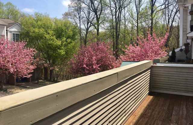 10310 ROYAL WOODS COURT Gallery 3