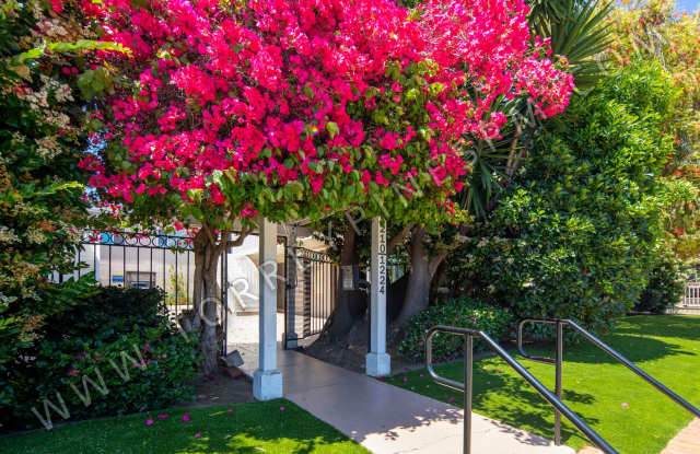 1BR Close to Garnet Ave in the Heart of Pacific Beach photos photos