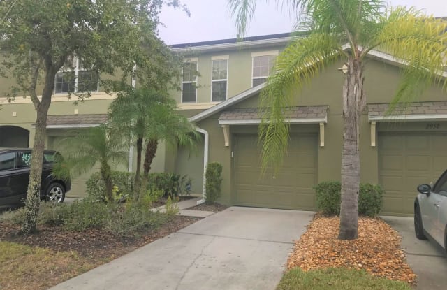 2954 Willowleaf Ln. - 2954 Willowleaf Lane, Wesley Chapel, FL 33544