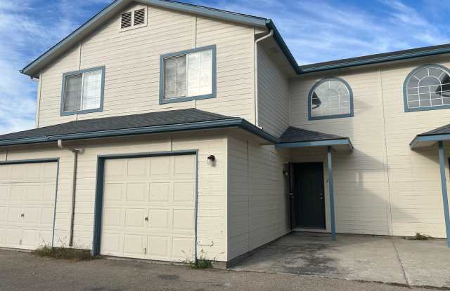 Spruce - 2511 photos photos