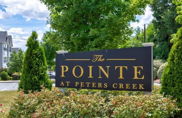 Pointe at Peters Creek photos photos