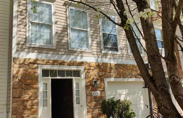 20768 BRIDALVEIL FALLS TERRACE Gallery 2
