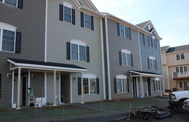 Two Master Suite Apartment Townhouse - 1448 Katie Grove Way, Massanetta Springs, VA 22801