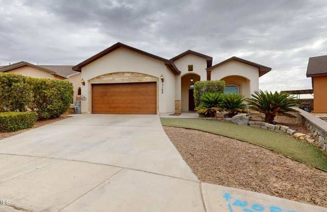 7169 N SKIES photos photos