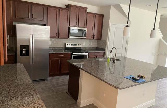 10223 NEWEL VALLEY LOOP Gallery 4