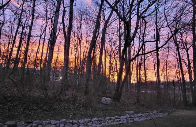 5800 COVE LANDING ROAD unit: 303 photos photos