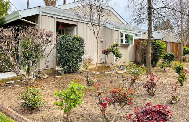 3707 Gold Creek Ln Gallery 2