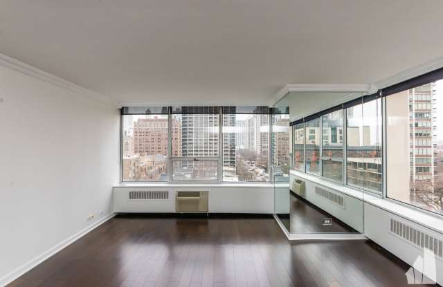 70 W Burton Pl - 70 West Burton Place, Chicago, IL 60610