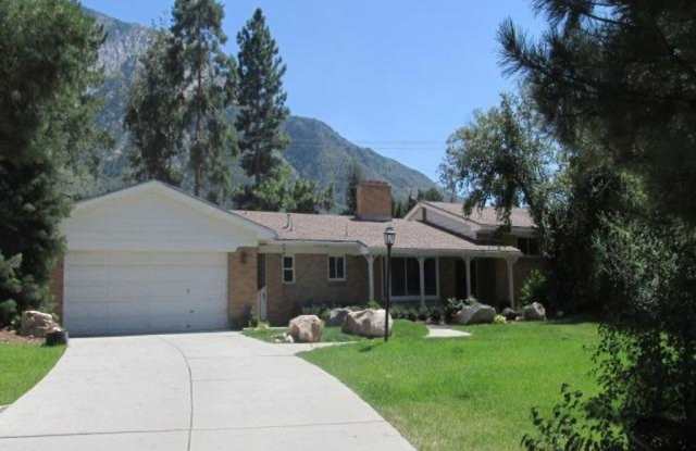 3500 sq ft home with huge yard in Olympus Cove on .6 acres! photos photos