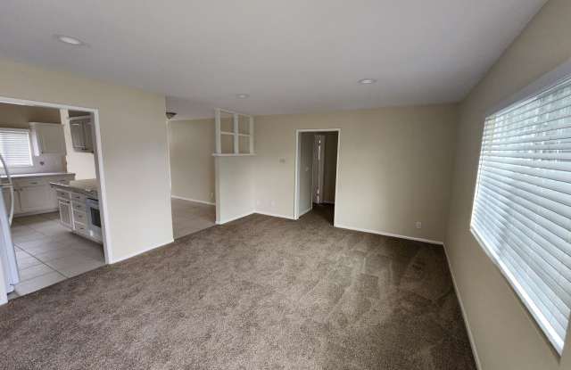 8832 Dolphin Drive Gallery 4