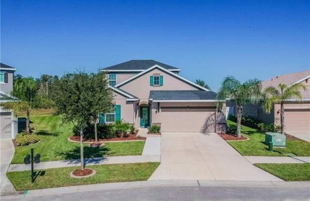 33283 Whisper Pointe Drive - 33283 Whisper Pointe Drive, Pasadena Hills, FL 33545