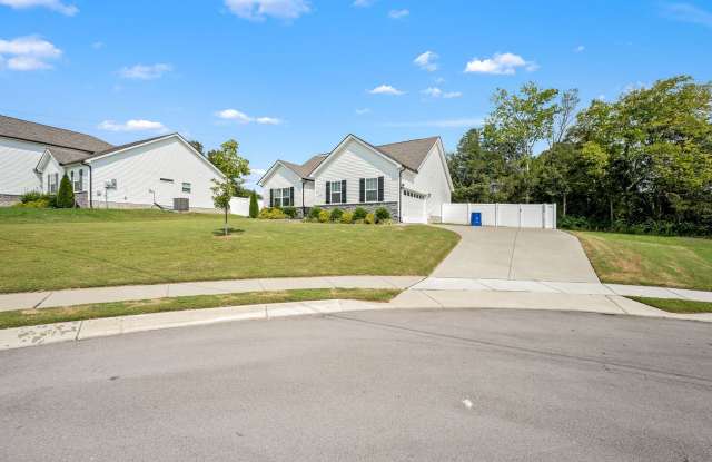 Curbo Ct 107 Gallery 3