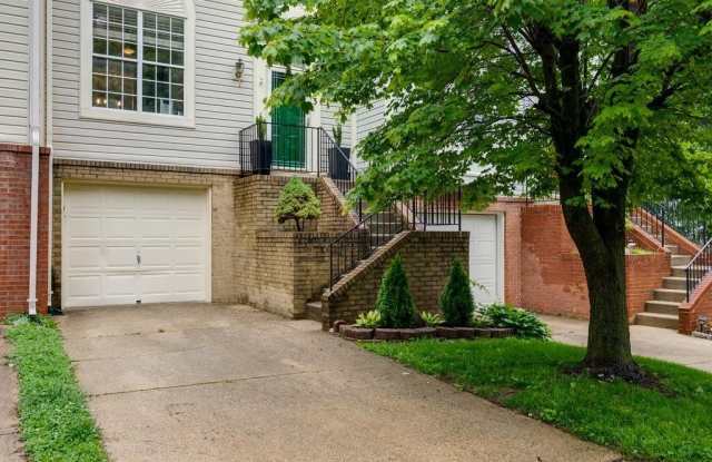 2303 MASSANUTTEN Drive photos photos