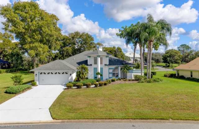 10026 Scarlett Court - 10026 Scarlett Court, North Weeki Wachee, FL 34613