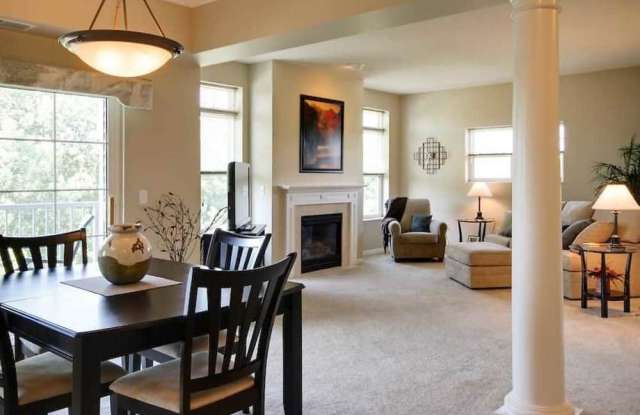3414 Autumn Woods Drive Gallery 4