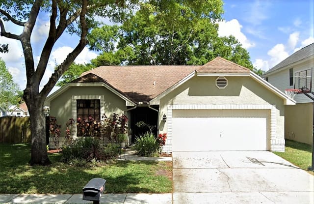 10902 Carnelian Ln - 10902 Carnelian Lane, Riverview, FL 33578