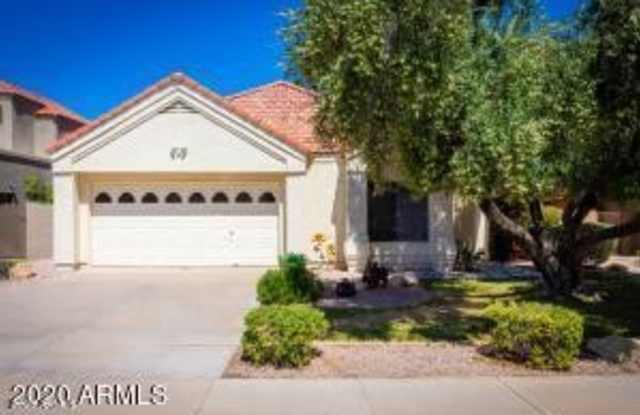 3914 E WHITE ASTER Street Gallery 2