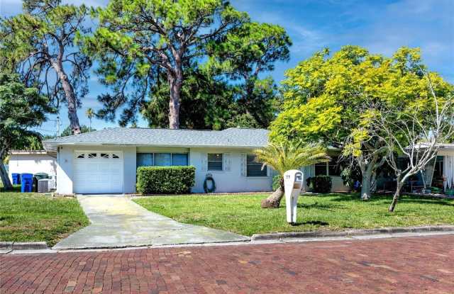 219 BUENA VISTA DRIVE N - 219 Buena Vista Drive North, Dunedin, FL 34698