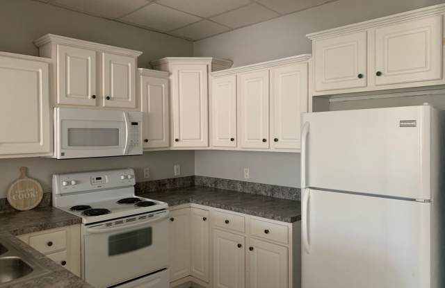 Wyndhurst Neighborhood-2nd floor unit - 1317 Enterprise Drive, Lynchburg, VA 24502