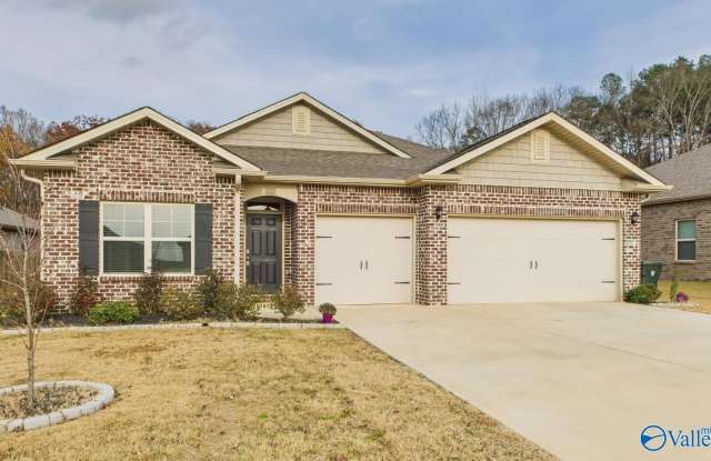 157 High Leaf Drive - 157 High Leaf Drive, Madison County, AL 35749