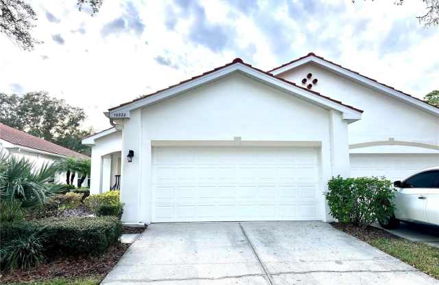 10222 DEVONSHIRE LAKE DRIVE - 10222 Devonshire Lake Drive, Tampa, FL 33647