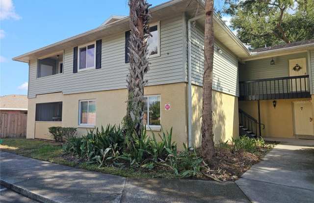 247 THORN TREE PLACE - 247 Thorntree Place, Brandon, FL 33510