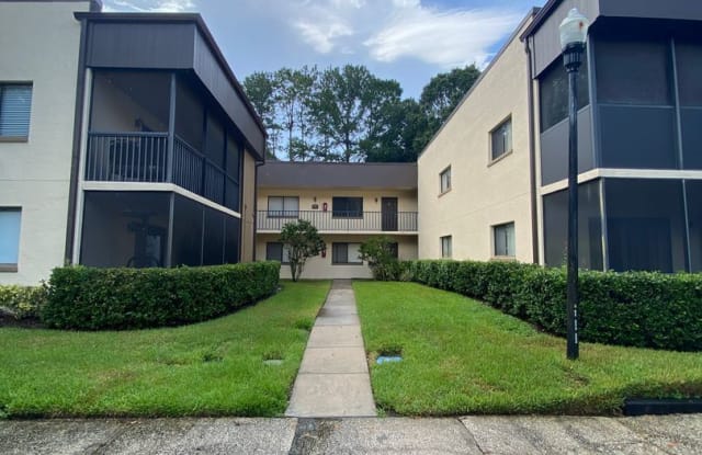 11814 Raintree Lake Lane Apt D - 11814 Raintree Lake Lane, Temple Terrace, FL 33617