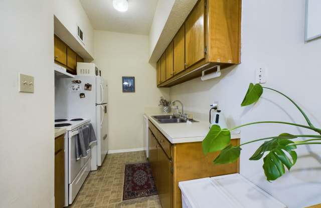 3316 Guadalupe St Apt 317 Gallery 4