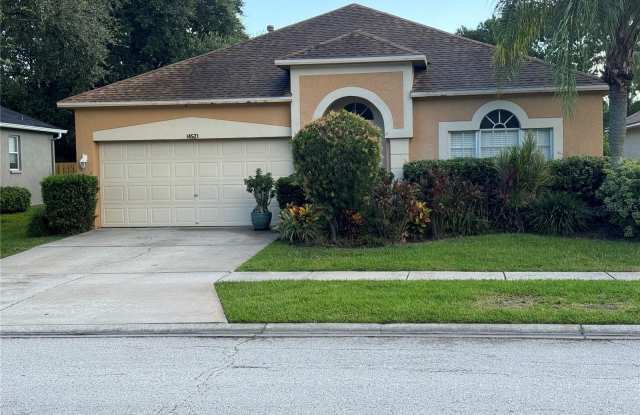 14521 WEEPING ELM DRIVE - 14521 Weeping Elm Drive, Keystone, FL 33626